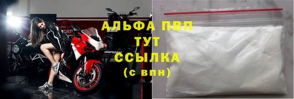 ГАЛЛЮЦИНОГЕННЫЕ ГРИБЫ Балабаново
