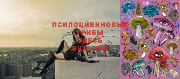 ГАЛЛЮЦИНОГЕННЫЕ ГРИБЫ Балабаново