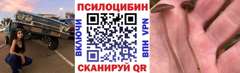цена   Лесозаводск  Псилоцибиновые грибы мухоморы 
